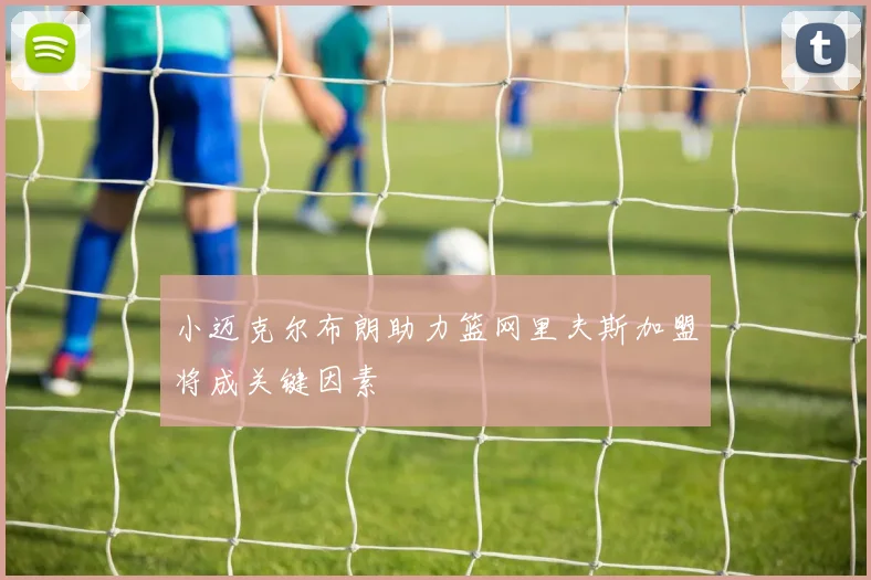 小迈克尔布朗助力篮网里夫斯加盟将成关键因素