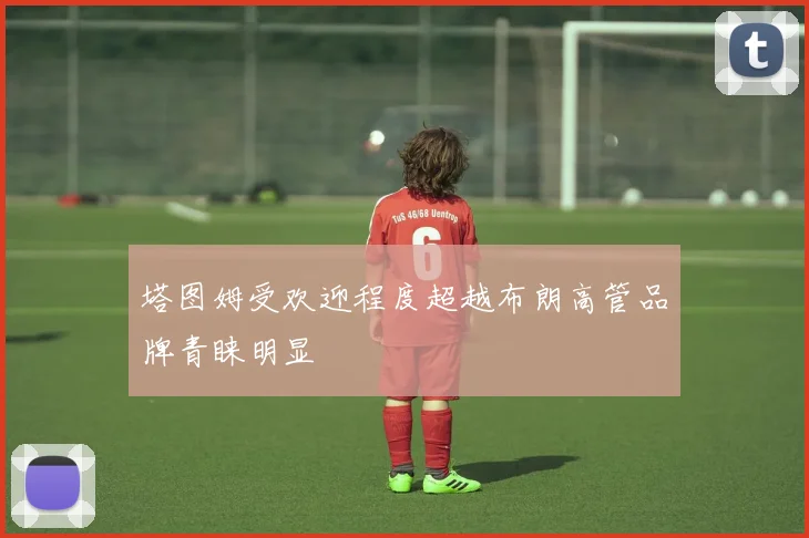 塔图姆受欢迎程度超越布朗高管品牌青睐明显